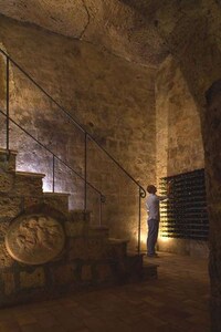 Contemporary Castle Abodes Image 4