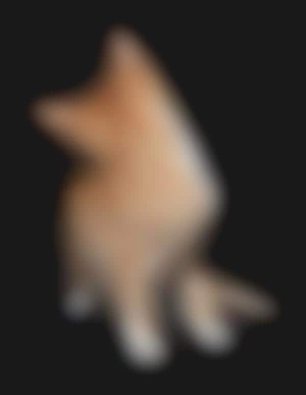 Reversed Feline Portraits