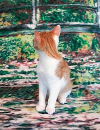 Reversed Feline Portraits Image 4