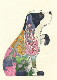Landscape Zoological Illustrations Image 3