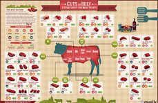 Red Meat Infographics