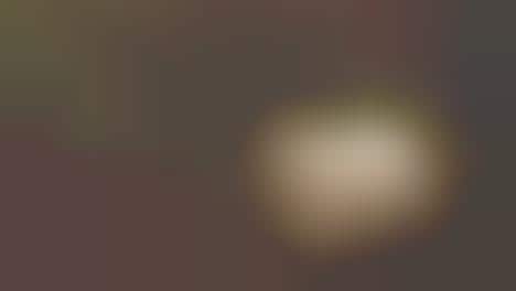 Farm Animal-Focused Pop Compilations