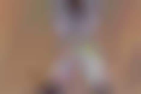 Flamboyant DIY Spring Sneakers