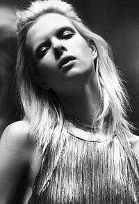 Gilded Grayscale Editorials Image 4