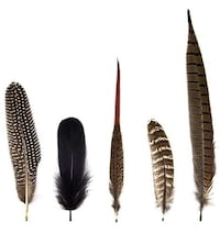 Avian Plumage Fridge Adhesives Image 2