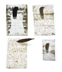 Avian Plumage Fridge Adhesives Image 3