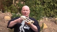 Prophylactic Projectiles Image 3