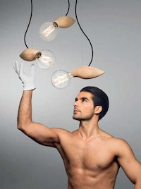 Winsome Wasp Illuminators Image 2