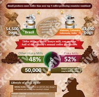 Profit-Based Coffee Charts Image 7