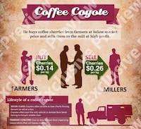 Profit-Based Coffee Charts Image 8