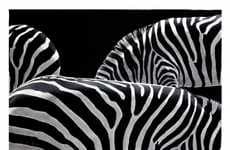 Photorealist Wildlife Paintings