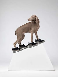Personifed Canine Campaigns Image 2
