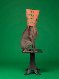 Personifed Canine Campaigns Image 4