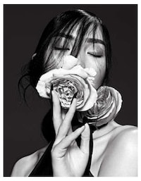 Luxe Layered Editorials Image 2