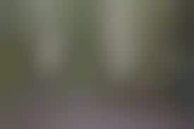 Individually Tailored Lifestyle Shops