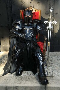 Medieval Superhero Costumes Image 2