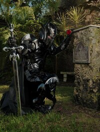 Medieval Superhero Costumes Image 3