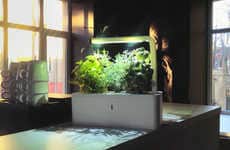 Self-Sustaining Planters