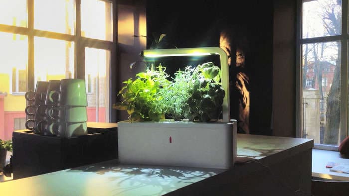 Self-Sustaining Planters