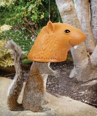 Humorous Rodent-Shaped Feeders Image 3