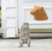 Humorous Rodent-Shaped Feeders Image 5