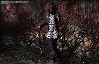 Bearded Woodsmen Editorials Image 3