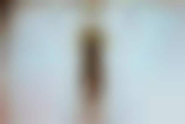 Intimate Anonymous Photography