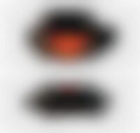 Blood-Sucking Glucose Monitors Image 1