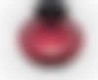 Voice-Activated Vacuums Image 1