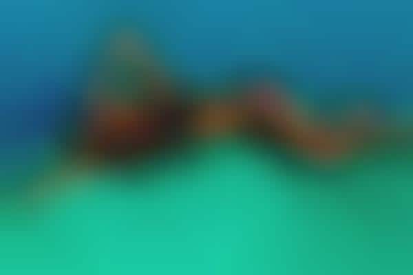 Pop Star Swim Campaigns