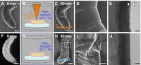 Microscopic Bacteria Space Suits Image 3
