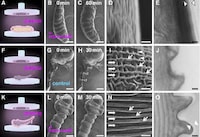 Microscopic Bacteria Space Suits Image 4