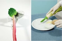 Surreal Food Photography Image 6