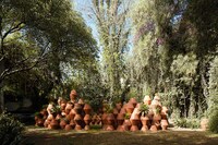 Upturned Pot Sanctuaries Image 3