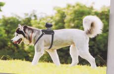 Canine-Mounted Camera Brackets