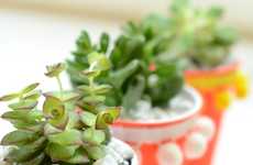 Upcycled Party Cup Planters