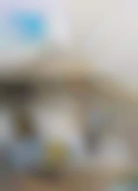 Modernly Equipped Avian Abodes 