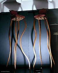 Long-Legged Loungers Image 3