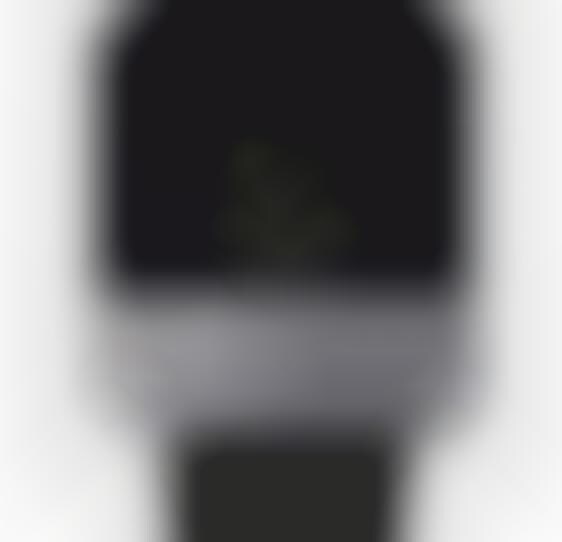 LCD Screen Timepieces: The Classic Square Watch Gets Updated with the ...