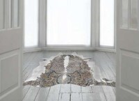 Hybrid Floor Treatments Image 4