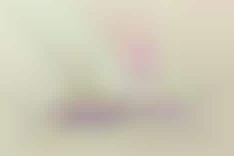 Adaptable Infant Capsules