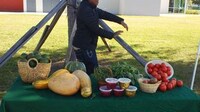 Teen Environmental Activist Groups Image 4