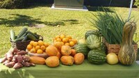 Teen Environmental Activist Groups Image 6