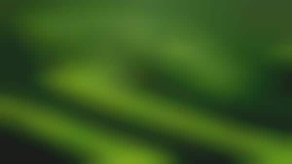 Sustainability-Focused Advisors