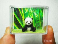 Tiny Amigurumi Animals Image 5