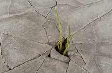 Cracked Footpath Planters