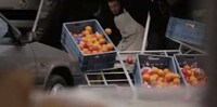 Real-Life Accident Commercials Image 3
