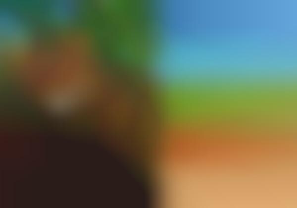 Chromatic Creature Portraits