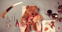 Stuffed Animal Surgery Videos Image 4