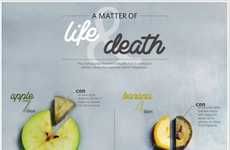 Fruit-Decaying Infographics 
